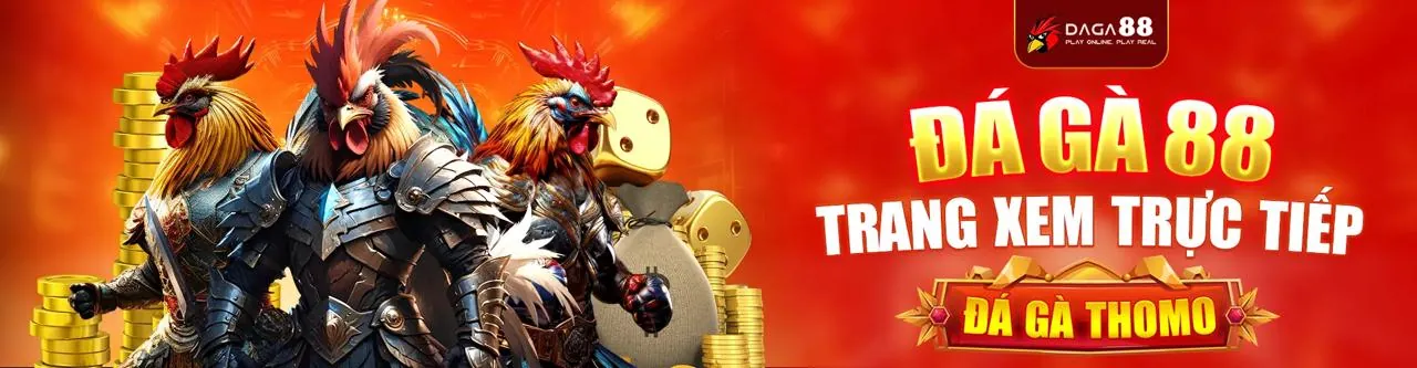 Sân đấu đá gà trực tuyến sôi động tại Awin68